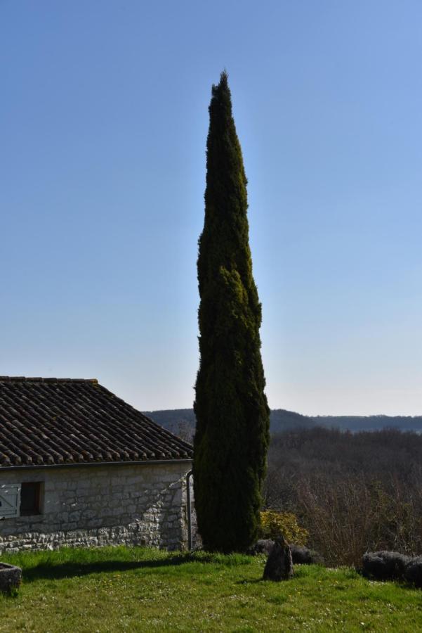 Villa Les Collines du Quercy Blanc à Castelnau-Montratier Extérieur photo